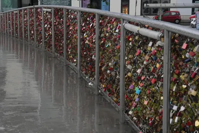 DSC_6159 (Large).JPG